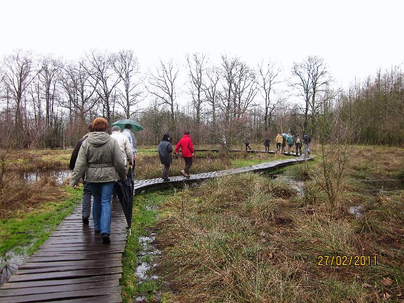 Winterwandeling-Kiewit (7).jpg